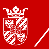 University of Groningen Logo